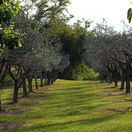Ca' Milone Bed & Breakfast San Pietro Di Feletto